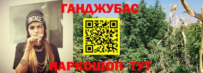 СК Пыть-Ях