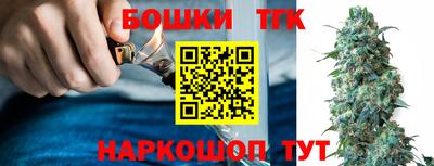 тгк Пугачёв