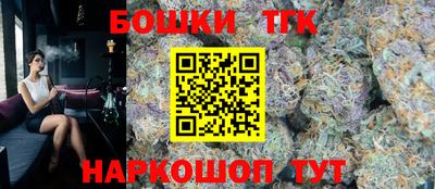 тгк Пугачёв