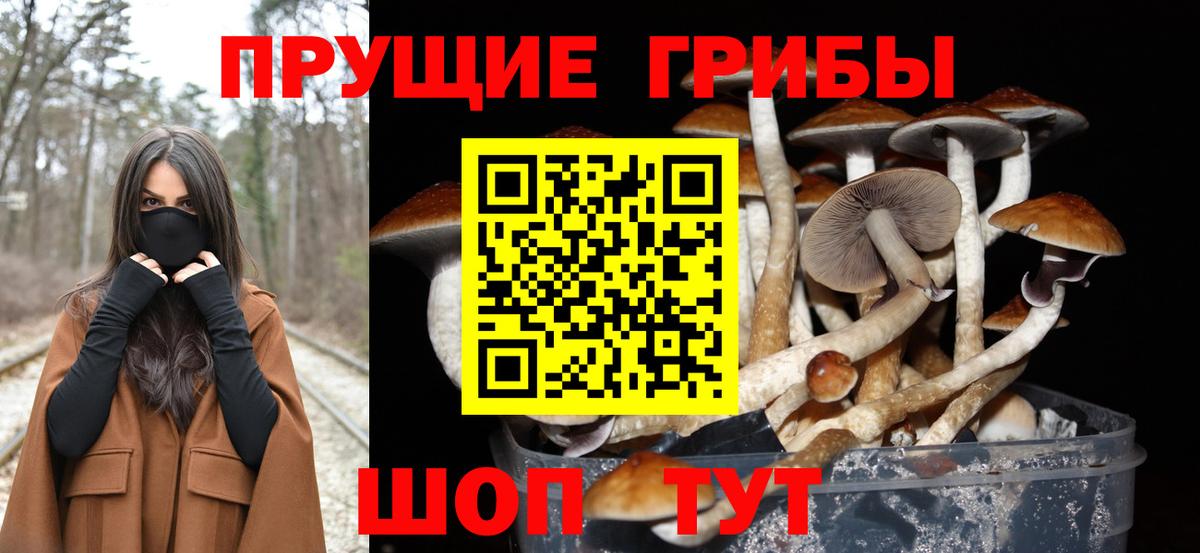 Псилоцибиновые грибы MAGIC MUSHROOMS Орск