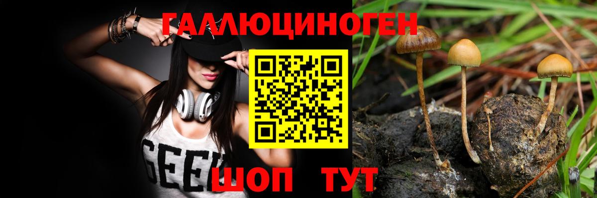 купить  цена  Псилоцибиновые грибы мицелий  Вход с VPN  Орск  Галлюциногенные грибы ЛСД 
